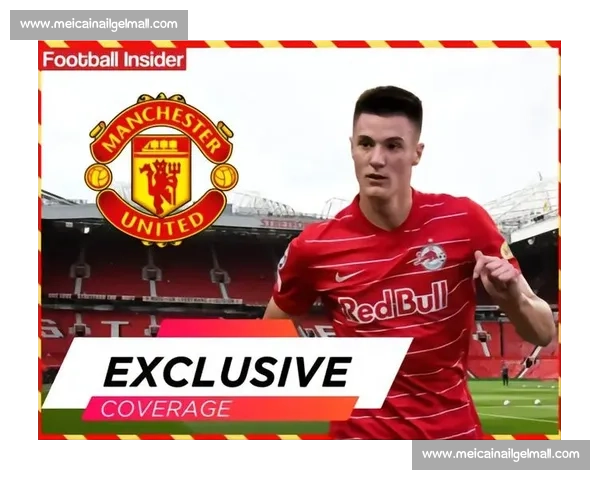 曼联官宣倒计时！德天空确认谢什科明日签约，8500 万欧锋霸剑指复兴